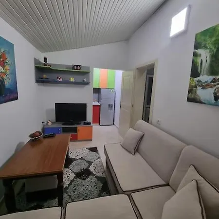Friendly Dogs House * Tirana