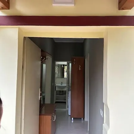 Friendly Dogs House Apartment