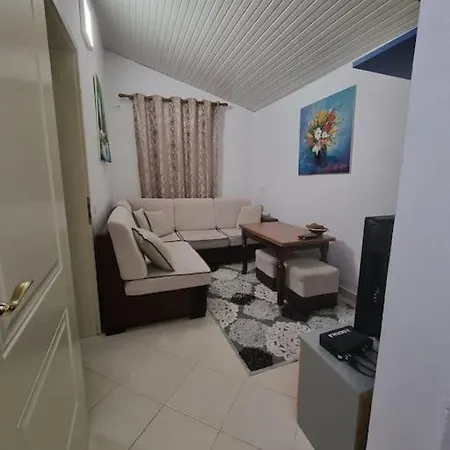 Friendly Dogs House Tirana